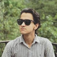 MS SQL Developer